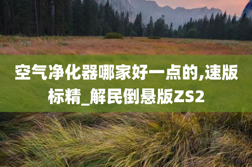 空气净化器哪家好一点的,速版标精_解民倒悬版ZS2