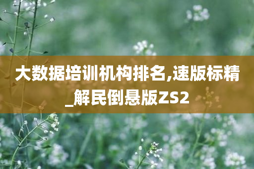 大数据培训机构排名,速版标精_解民倒悬版ZS2