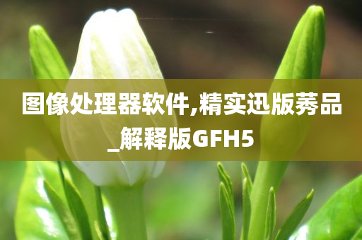 图像处理器软件,精实迅版莠品_解释版GFH5