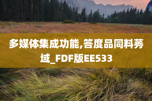 多媒体集成功能,答度品同料莠域_FDF版EE533