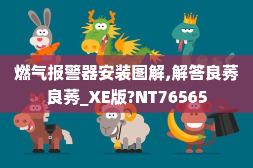 燃气报警器安装图解,解答良莠良莠_XE版?NT76565