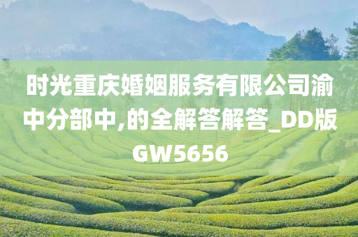 时光重庆婚姻服务有限公司渝中分部中,的全解答解答_DD版GW5656