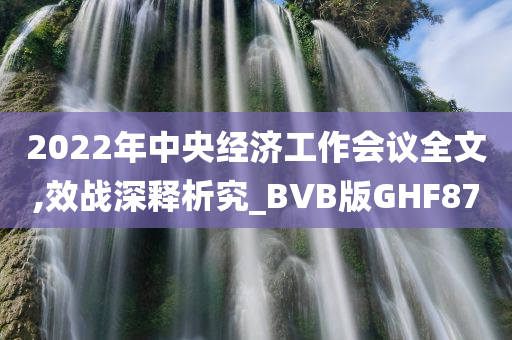 2022年中央经济工作会议全文,效战深释析究_BVB版GHF87