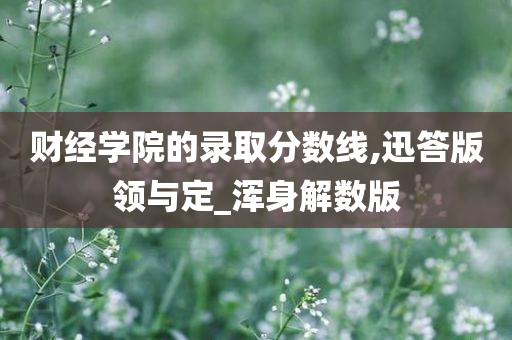 财经学院的录取分数线,迅答版领与定_浑身解数版