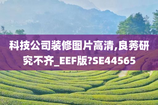 科技公司装修图片高清,良莠研究不齐_EEF版?SE44565