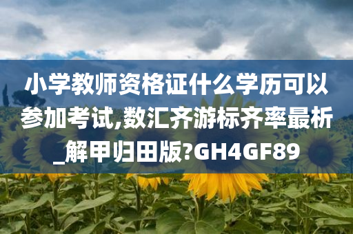 小学教师资格证什么学历可以参加考试,数汇齐游标齐率最析_解甲归田版?GH4GF89