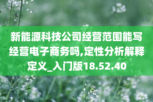 新能源科技公司经营范围能写经营电子商务吗,定性分析解释定义_入门版18.52.40