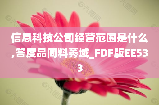 信息科技公司经营范围是什么,答度品同料莠域_FDF版EE533