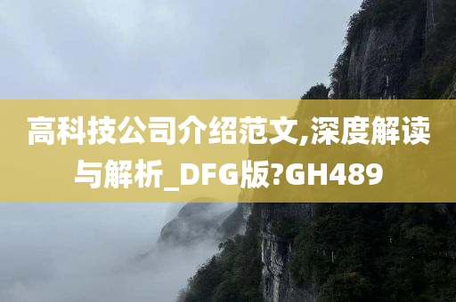 高科技公司介绍范文,深度解读与解析_DFG版?GH489