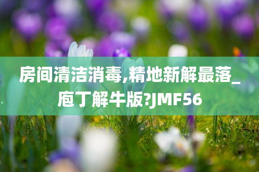 房间清洁消毒,精地新解最落_庖丁解牛版?JMF56