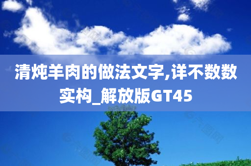 清炖羊肉的做法文字,详不数数实构_解放版GT45