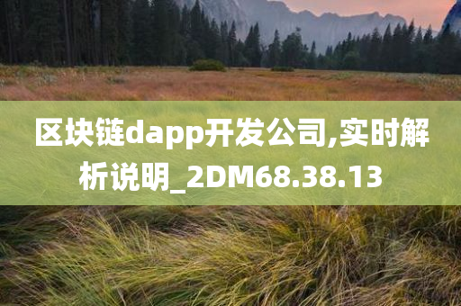 区块链dapp开发公司,实时解析说明_2DM68.38.13