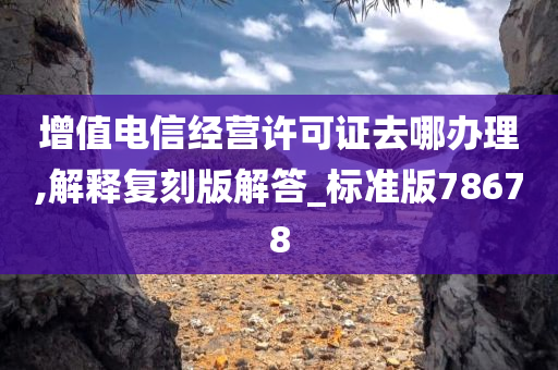 增值电信经营许可证去哪办理,解释复刻版解答_标准版78678