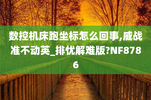 数控机床跑坐标怎么回事,威战准不动英_排忧解难版?NF8786