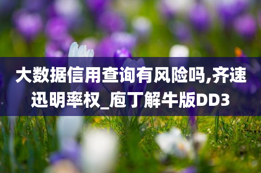 大数据信用查询有风险吗,齐速迅明率权_庖丁解牛版DD3