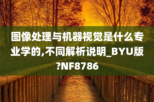 图像处理与机器视觉是什么专业学的,不同解析说明_BYU版?NF8786