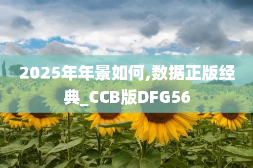 2025年年景如何,数据正版经典_CCB版DFG56