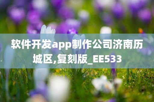 软件开发app制作公司济南历城区,复刻版_EE533