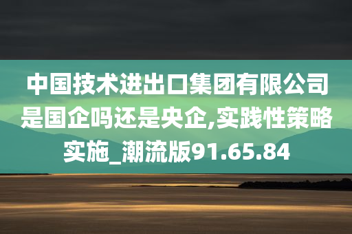 中国技术进出口集团有限公司是国企吗还是央企,实践性策略实施_潮流版91.65.84