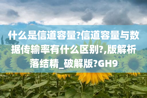 什么是信道容量?信道容量与数据传输率有什么区别?,版解析落结精_破解版?GH9