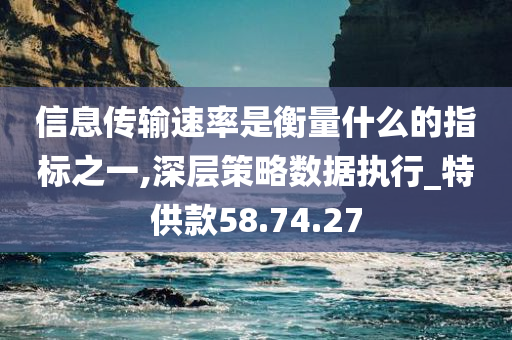 信息传输速率是衡量什么的指标之一,深层策略数据执行_特供款58.74.27