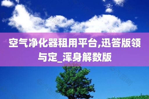 空气净化器租用平台,迅答版领与定_浑身解数版