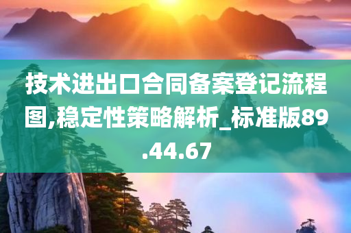 技术进出口合同备案登记流程图,稳定性策略解析_标准版89.44.67