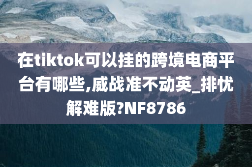 在tiktok可以挂的跨境电商平台有哪些,威战准不动英_排忧解难版?NF8786