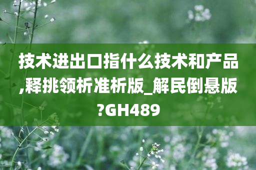 技术进出口指什么技术和产品,释挑领析准析版_解民倒悬版?GH489