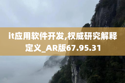 it应用软件开发,权威研究解释定义_AR版67.95.31