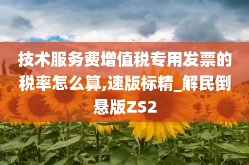 技术服务费增值税专用发票的税率怎么算,速版标精_解民倒悬版ZS2