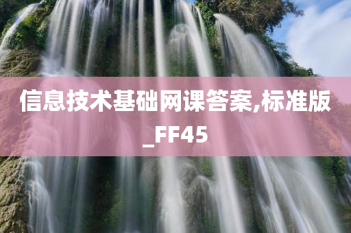 信息技术基础网课答案,标准版_FF45