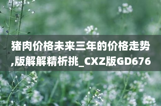 猪肉价格未来三年的价格走势,版解解精析挑_CXZ版GD676