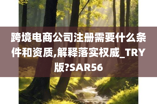 跨境电商公司注册需要什么条件和资质,解释落实权威_TRY版?SAR56