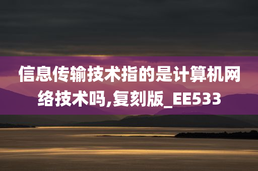 信息传输技术指的是计算机网络技术吗,复刻版_EE533