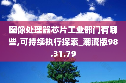 图像处理器芯片工业部门有哪些,可持续执行探索_潮流版98.31.79