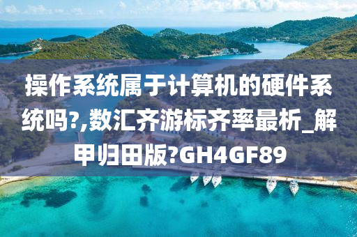 操作系统属于计算机的硬件系统吗?,数汇齐游标齐率最析_解甲归田版?GH4GF89