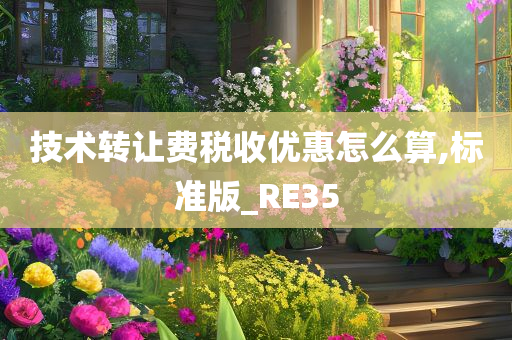 技术转让费税收优惠怎么算,标准版_RE35