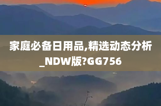 家庭必备日用品,精选动态分析_NDW版?GG756