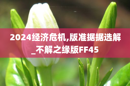 2024经济危机,版准据据选解_不解之缘版FF45