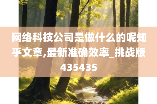 网络科技公司是做什么的呢知乎文章,最新准确效率_挑战版435435