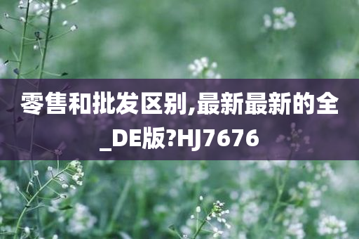 零售和批发区别,最新最新的全_DE版?HJ7676