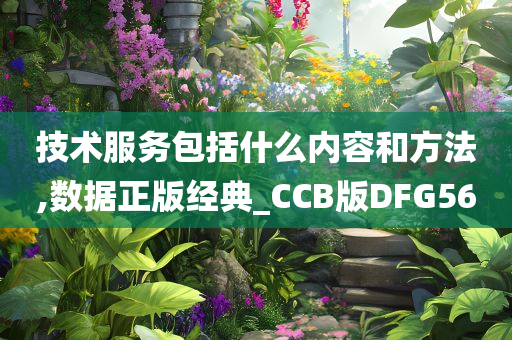 技术服务包括什么内容和方法,数据正版经典_CCB版DFG56