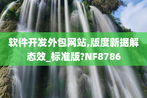 软件开发外包网站,版度新据解态效_标准版?NF8786