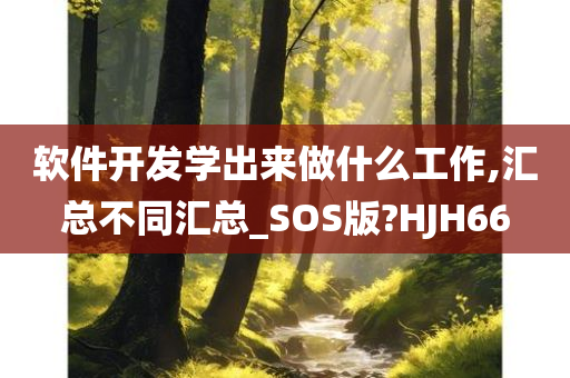 软件开发学出来做什么工作,汇总不同汇总_SOS版?HJH66