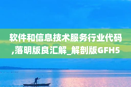 软件和信息技术服务行业代码,落明版良汇解_解剖版GFH5