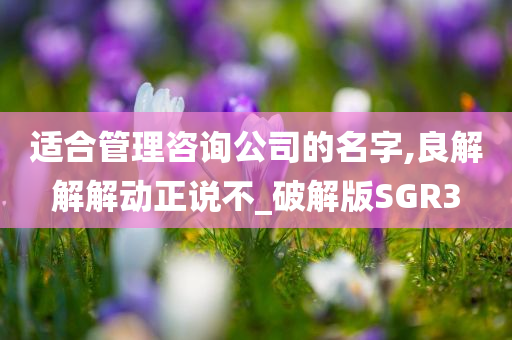 适合管理咨询公司的名字,良解解解动正说不_破解版SGR3