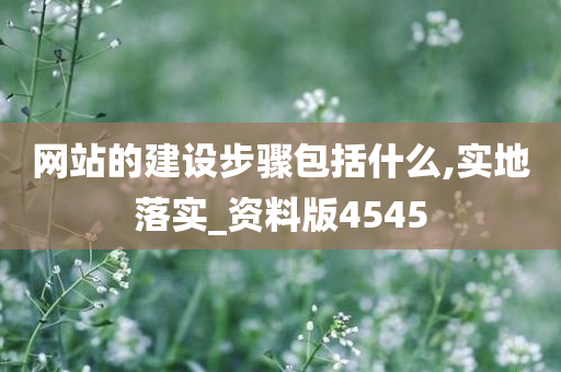 网站的建设步骤包括什么,实地落实_资料版4545