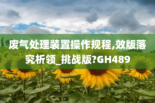 废气处理装置操作规程,效版落究析领_挑战版?GH489