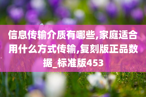 信息传输介质有哪些,家庭适合用什么方式传输,复刻版正品数据_标准版453